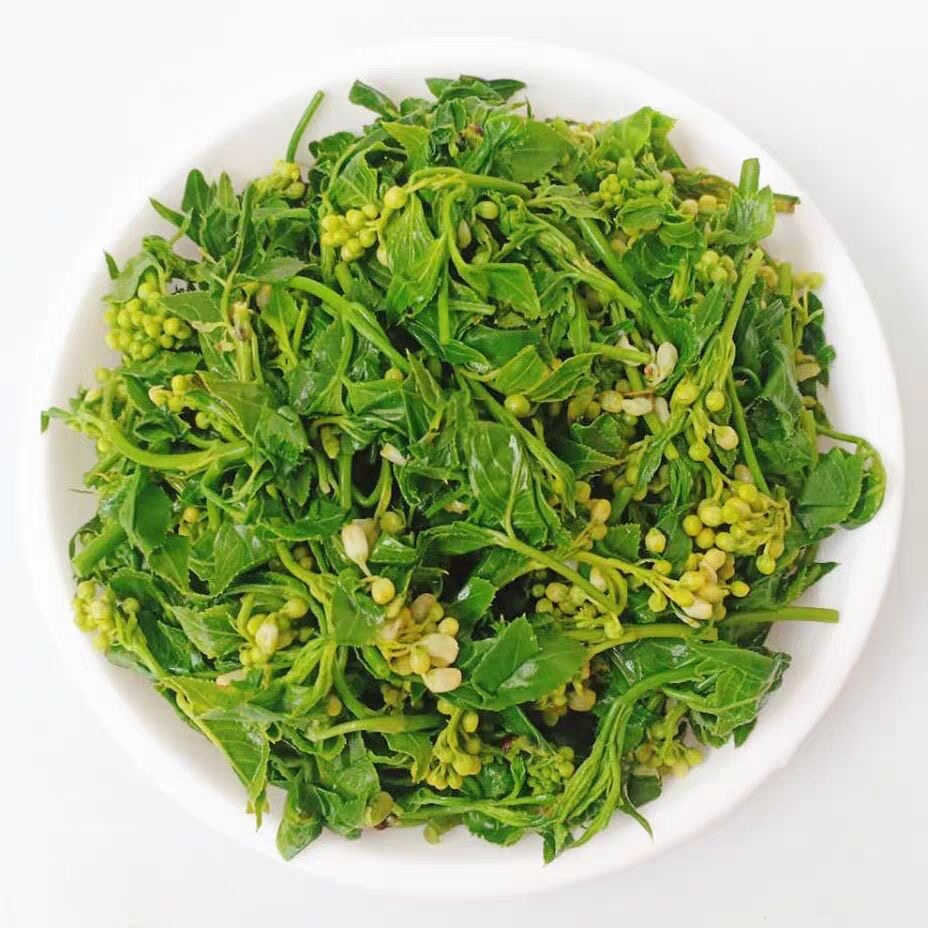 麻城特产新鲜山野菜白花菜大别山珍品野菜新鲜焯水真空包装花儿菜