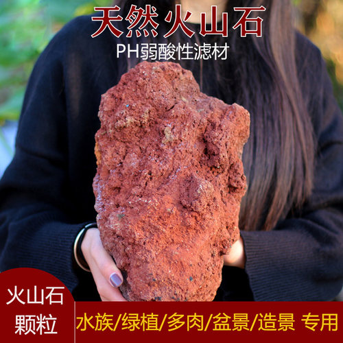 火山石颗粒土多肉兰花鱼缸造景