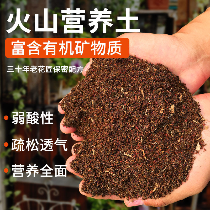 火山营养土养花专用通用型多肉草莓盆栽种菜家用有机土种植土大包,鲜花速递/花卉仿真/绿植园艺,介质/营养土,淘宝优惠券,粉丝福利购,淘宝优惠卷
