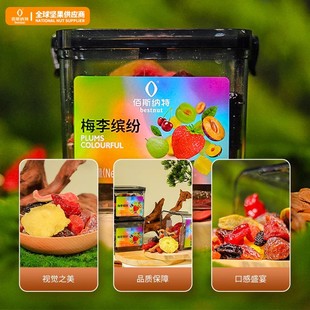 佰斯纳特梅李缤纷320g酸甜蜜饯多种果干果脯孕妇休闲食品零食