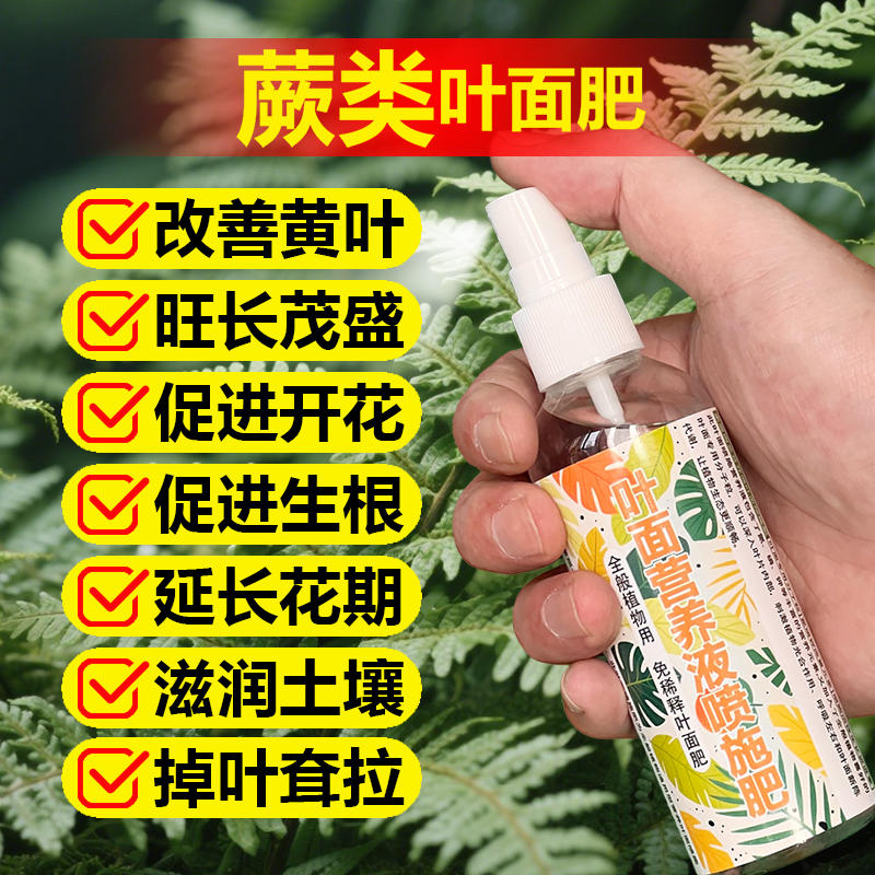 蕨类专用肥料绿植蕨类植物盆栽盆景土培营养液有机肥颗粒缓释肥料