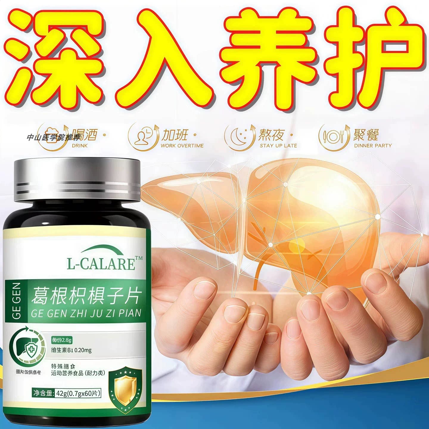 康博士肝安素熬夜常备护肝片