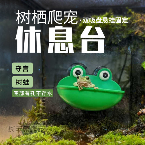 爬宠雨林缸造景树蛙悬挂式休息台