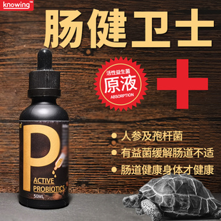 K诺茵爬虫活性益生菌液滴剂陆蜥蜴守宫肠道调理菌群活性益生菌液