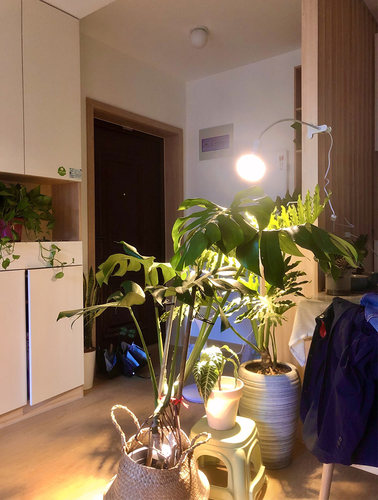 植物灯泡仿太阳全光谱补光多肉