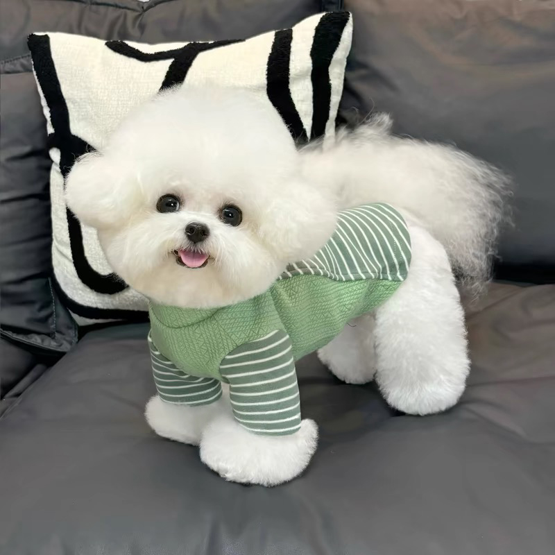 比熊狗狗衣服秋冬新款D字扣拼接