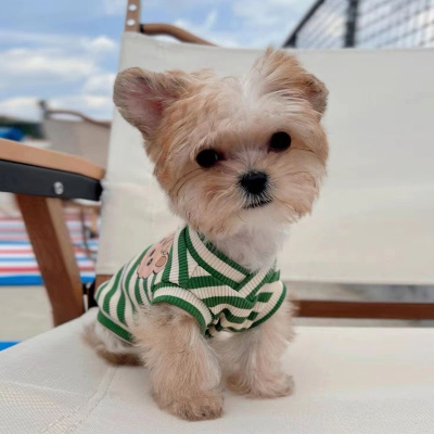 小狗狗衣服春秋夏款马尔济斯泰迪比熊博美小型犬宠物衣服透气薄款