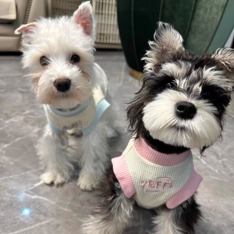 夏天宠物小狗狗衣服薄款雪纳瑞马尔济斯博美泰迪比熊小型犬防掉毛