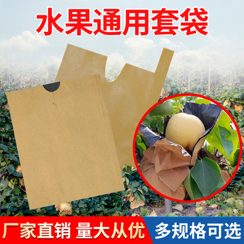 梨子桃子水果通用套袋