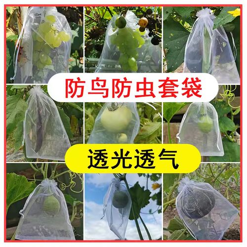 水果防虫网袋防鸟防虫纱袋蔬菜葡萄草莓桃子保护袋西红柿枇杷网套