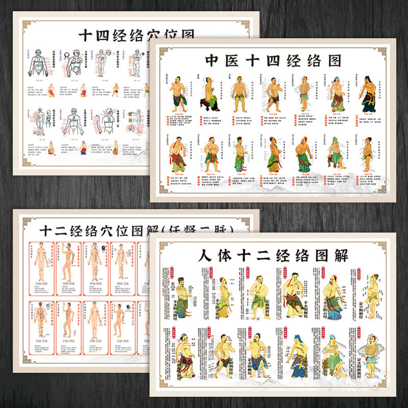 中医人体十二十四经络穴位图解分布示意图挂图宣传画墙贴纸WSA89