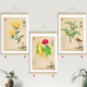 中草药植物挂图新中式 饰画GZY26 中医院诊所药材学校卫生院挂画装