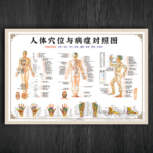 人体穴位与病症对照表示意图中医经穴部位图挂图宣传画贴纸WSA87