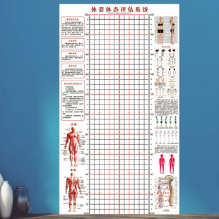 体姿体态评估表体测健身房瑜伽馆私教臂展身高表挂图墙贴纸WST36