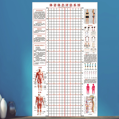 体姿体态评估表身高表挂图贴纸