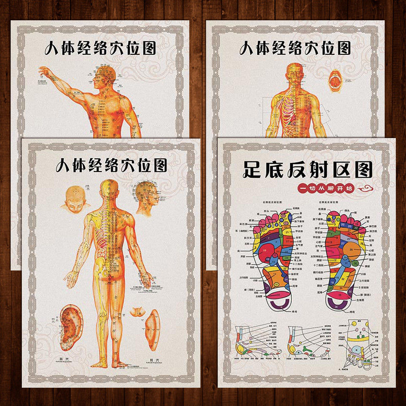 足底反射区图中医宣传画挂图人体经络穴位图针炙示意图贴画wsa18