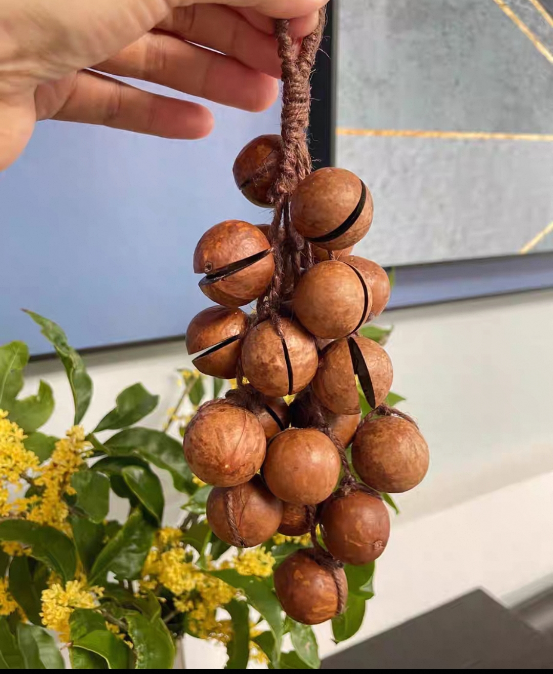 纯手工夏威夷果壳风铃成品～助眠治愈系水声果壳配音大自然的声音