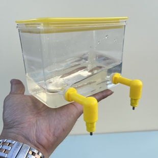 鹦鹉撞针饮水器鸟用水壶芦丁鸡水壶自动大容量宠物芙蓉鸟噬菌体