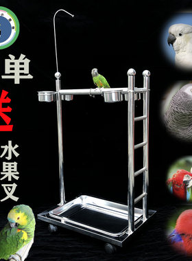 鹦鹉站架鸟类观赏架子不锈钢站架