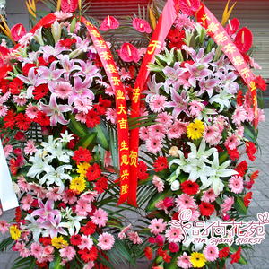 北京乔迁庆典开张开业花篮同城花店鲜花速递高端花篮明星应援订花