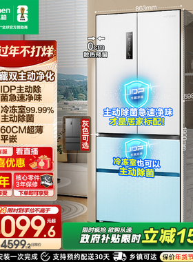容声517L双净法式四门超薄平嵌入式家用大容量电冰箱以旧换新补贴