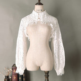 毛衣打底遮肉显瘦衬衫 百搭新款 秋冬春季 蕾丝衫 领内搭 假领子女长袖