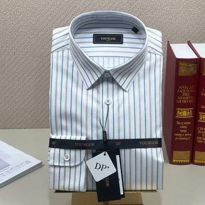 雅戈尔春季男士长袖衬衫免烫条纹
