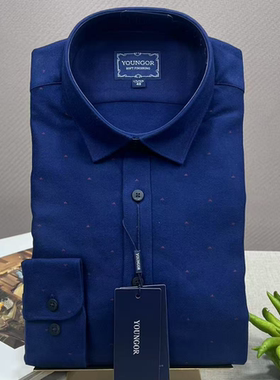 雅戈尔男士长袖衬衫莫代尔+棉秋冬厚款商务休闲修身衬衫8-91正品