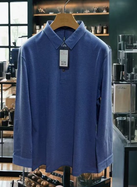 雅戈尔专柜男长袖T恤秋季绵羊毛混纺磨毛休闲POLO衫505997HCA