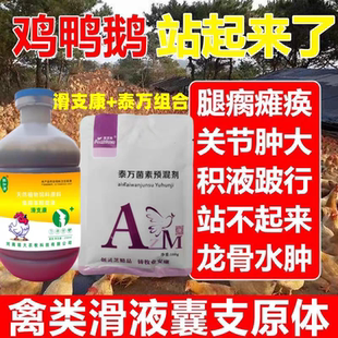滑支康滑液囊支原体专用鸡鸭鹅瘫软卧地关节肿大瘸腿瘫痪添加剂