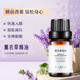 法国薰衣草精油进口纯单方助睡眠淡化痘印面部身体天然按摩植物油