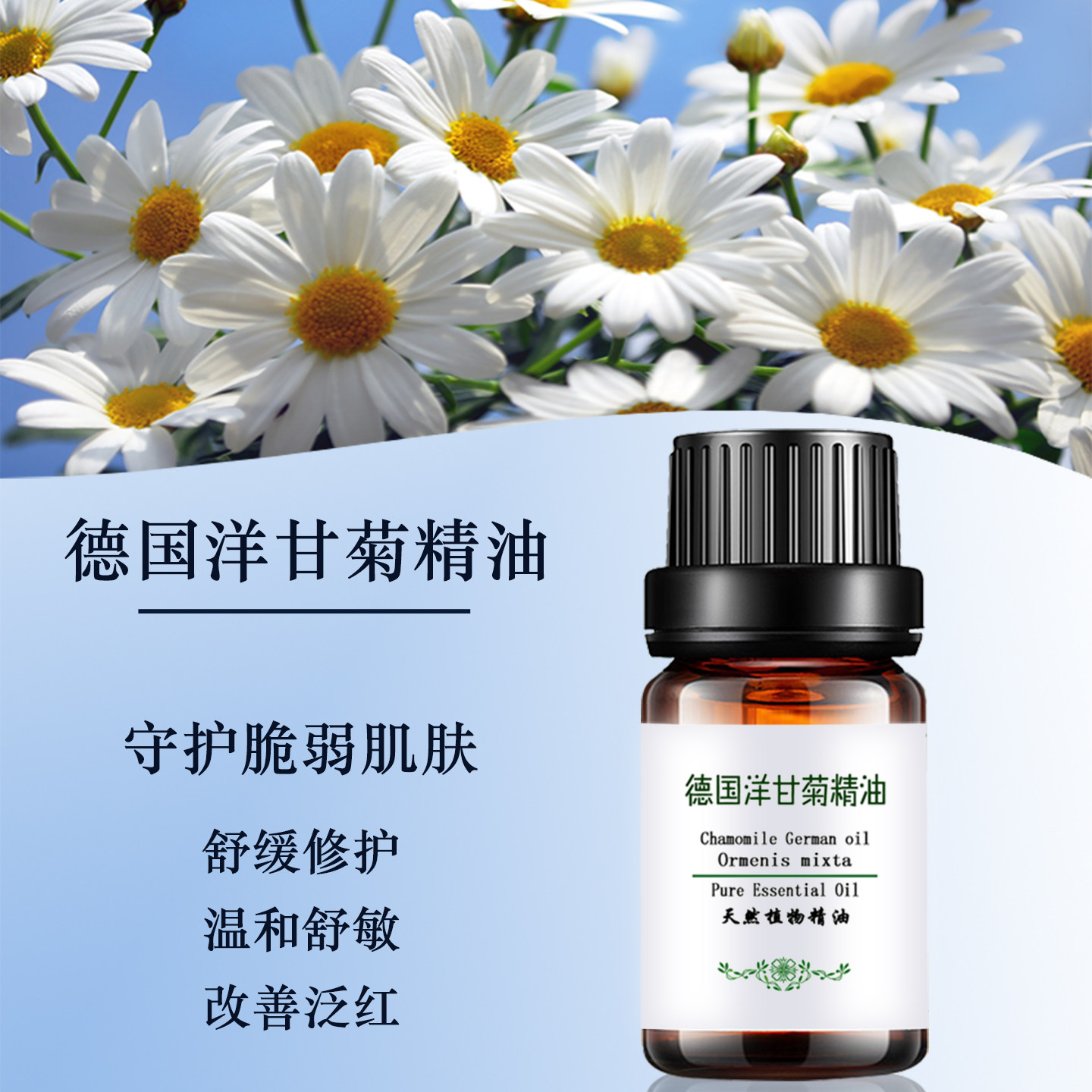 纯德国洋甘菊精油蓝甘菊敏感肌 保湿面部脸部护肤单方天然舒缓