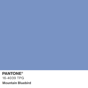 2024新版色彩 18-1611TPG 至 19-5303TPG 大型TPG纸版色卡 TPG单张色卡Pantone潘通服装家居色卡