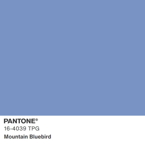 2024新版色彩 18-1611TPG 至 19-5303TPG 大型TPG纸版色卡 TPG单张色卡Pantone潘通服装家居色卡