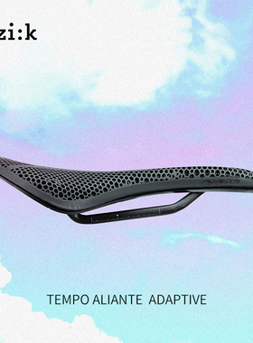 FIZIK飞贼3D打印坐垫 Tempo Aliante 24新款公路车坐垫自行车鞍座