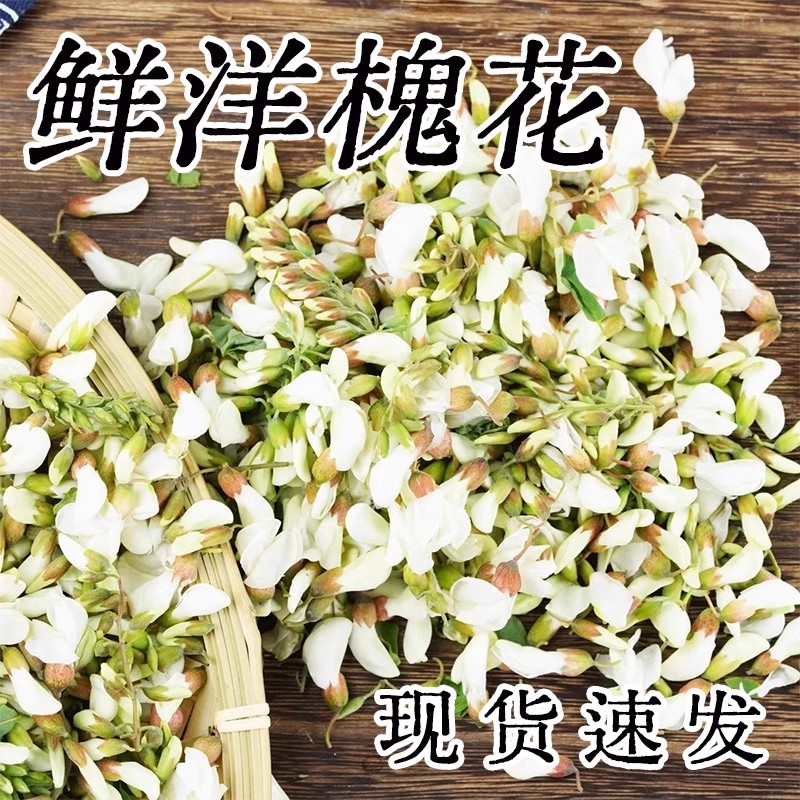 2025年洋槐花新鲜现摘现发杨槐花骨朵儿当季现摘槐米花苞野生野菜
