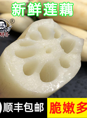 嫩莲藕湖北洪湖新花藕新鲜现挖