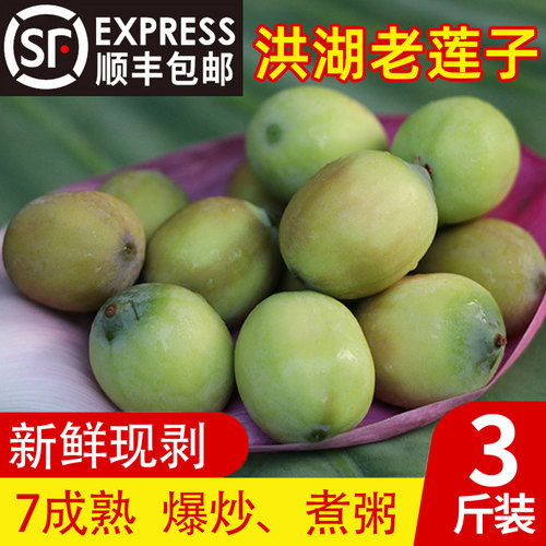 余胖子洪湖老莲蓬新鲜老莲子当季3斤现摘现发湖北特产