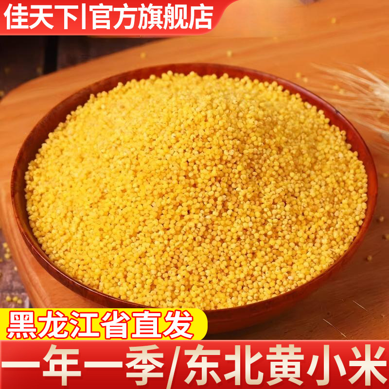 黑龙江省黄小米新米杂粮农家纯小黄米杂粮月子粥香糯粘稠新货包邮