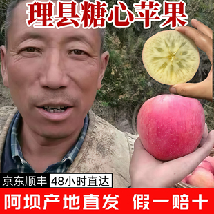阿坝理县佳山高原冰糖心苹果10斤5孕妇水果新鲜当季脆甜红富士