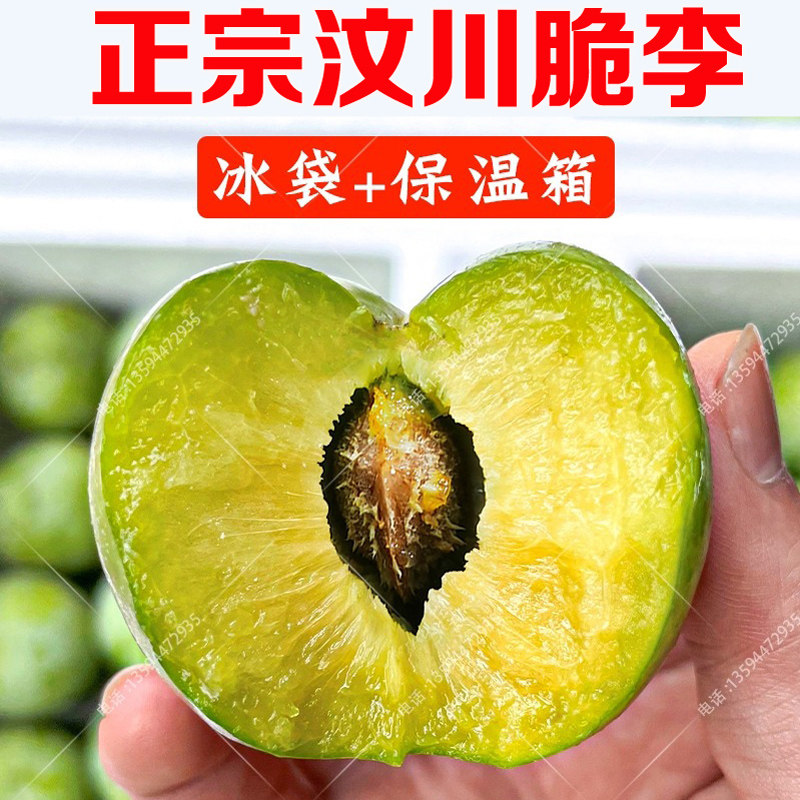 四川五月脆李子脆红李凤凰李新鲜水果脱骨青脆李半边红茵红李蜂蜜