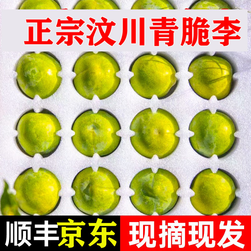 正宗四川青脆李李子汶川红脆李青李子