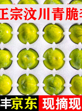 正宗四川青脆李李子汶川红脆李青脆李脱骨李江安李宜宾非重庆巫山