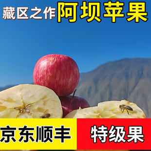 阿坝州小金苹果糖心汶川茂县理县九寨沟金冠四姑娘山甘孜康定泸定