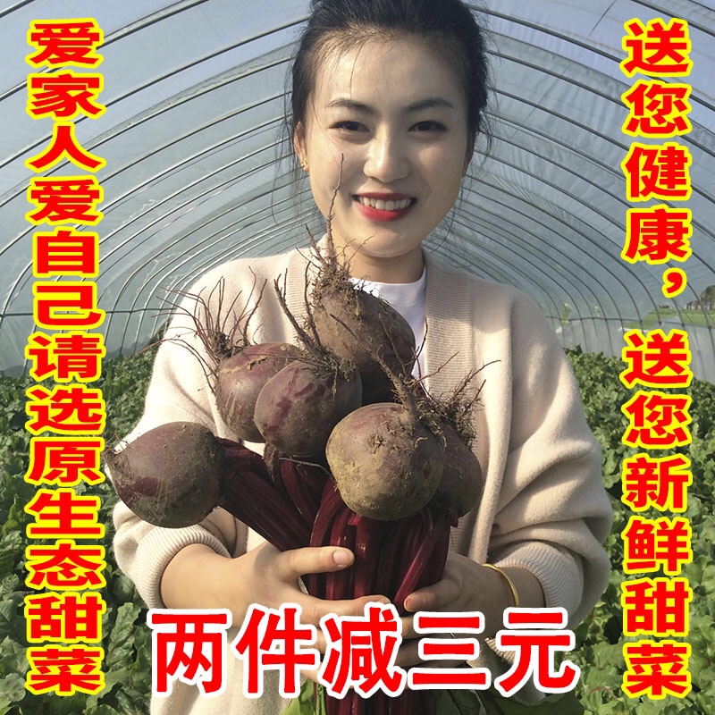 2024年新鲜原生态精选有机肥甜菜根蔬菜打汁红甜菜头现挖5斤包邮 水产肉类/新鲜蔬果/熟食 其它 原图主图