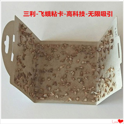 三利消毒信息素粘蛾卡飞蛾自己来