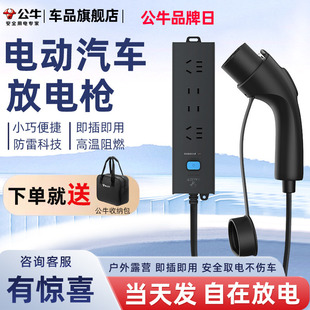 公牛放电枪新能源电动汽车极氪001理想问界比亚迪领克哪吒外放电