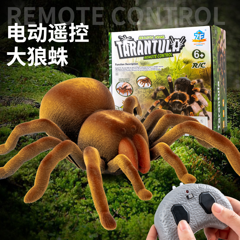 大号遥控蜘蛛毛绒仿真模型