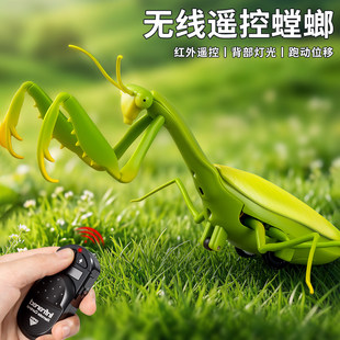 红外遥控仿真螳螂玩具6岁5男孩会动会走路的昆虫电动爬行动物新款
