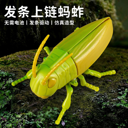 发条昆虫世界儿童爬行知了玩具